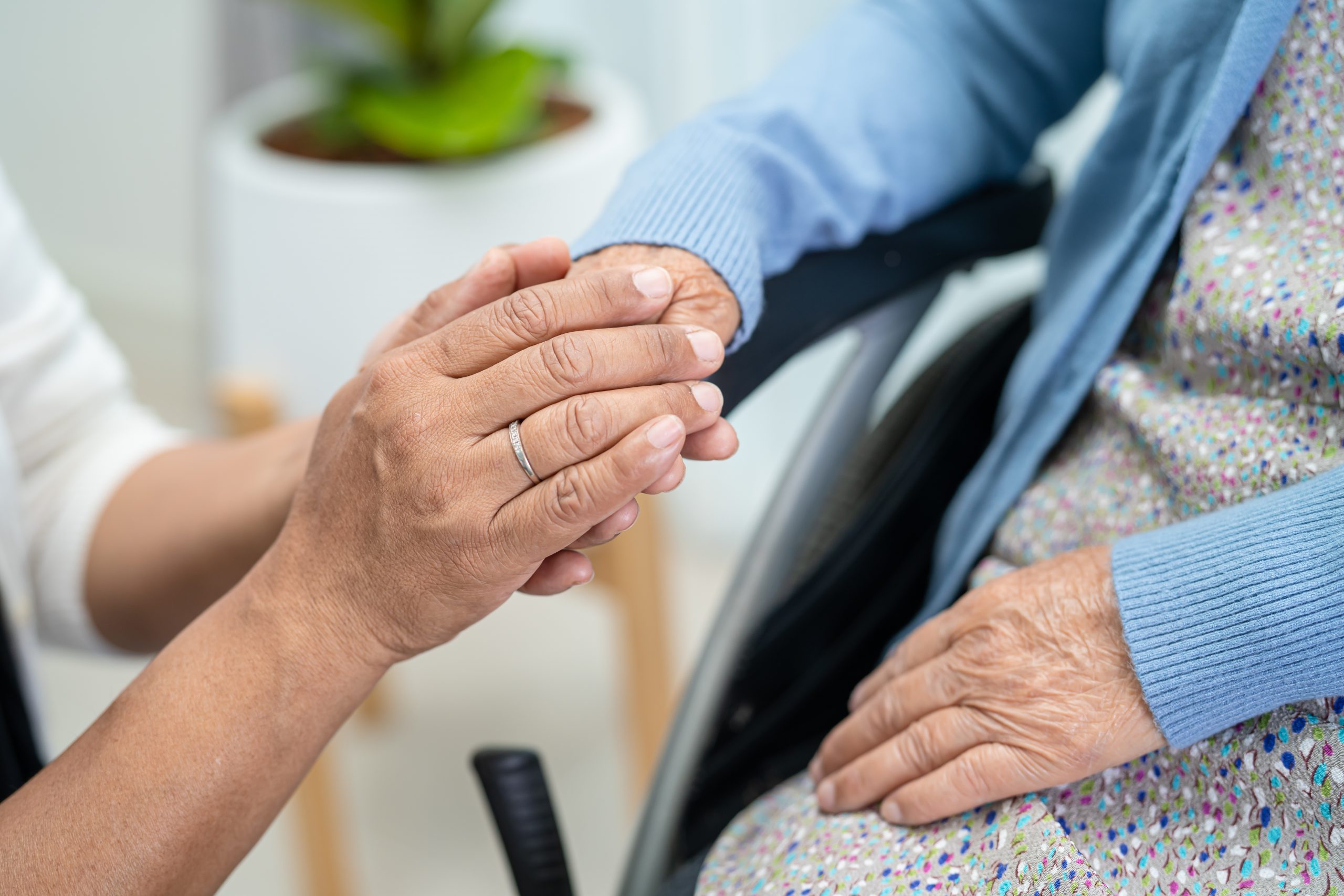 holding hands asian senior or elderly old lady woman patient wit